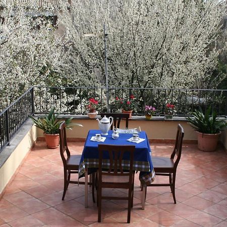 Casa Flavia Διαμέρισμα Ορβιέτο Εξωτερικό φωτογραφία